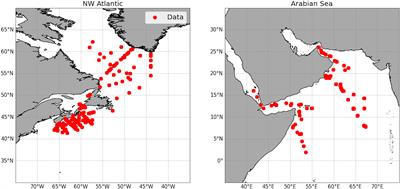 Concentration and distribution of phytoplankton nitrogen and carbon in the Northwest Atlantic and Indian Ocean: A simple model with applications in satellite remote sensing